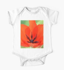 Tulipa praestans 'Van Tubergen's Variety' Miscellaneous tulip One Piece - Short Sleeve