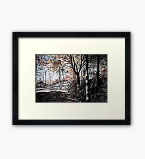 Bucks Pocket OverlookTrail Framed Print