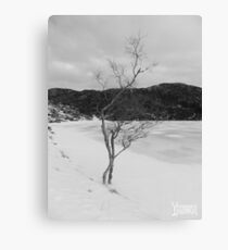 Winter Canvas Print