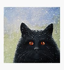 COVER PAINTING FOR CHILDRENS BOOK Photographic Print