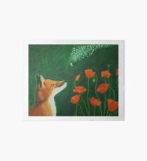 Curiosity Art Board