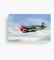P-40 FLYING TIGER Canvas Print