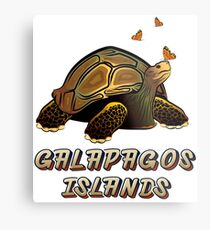 Lámina metálica Galápagos Ecuador Tortuga y Mariposas