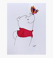 Winnie Pooh Photographic Print