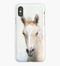 Palomino Foal 3 iPhone Case