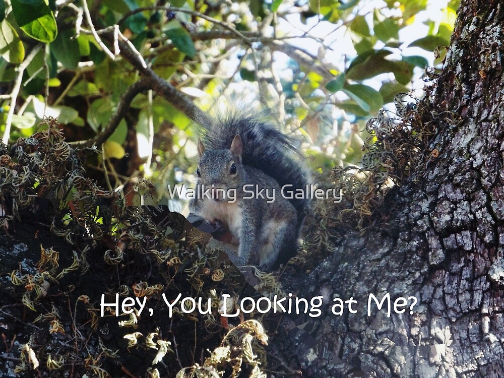 Hey You Looking At Me By Walking Sky Gallery Redbubble