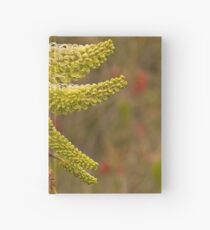 Grevillea 1 Hardcover Journal
