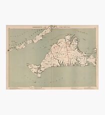 Vintage Map of Martha's Vineyard (1891) Photographic Print