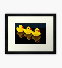 All your ducks in a row Framed Print