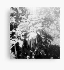 Garden of Ordinary Delights Canvas Print