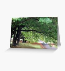 Mt Wilson NSW Greeting Card