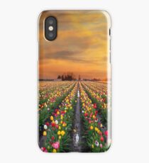 Sunset over colorful Tulip flower fields in full bloom during spring season tulip festival in Woodburn Oregon iPhone Case