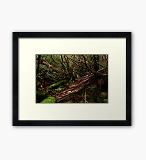 Cradle Mountain National Park Framed Print