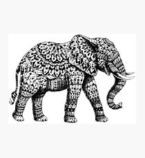 Lámina fotográfica Ornate Elephant 3.0