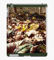 COMMUNITY iPad Case/Skin
