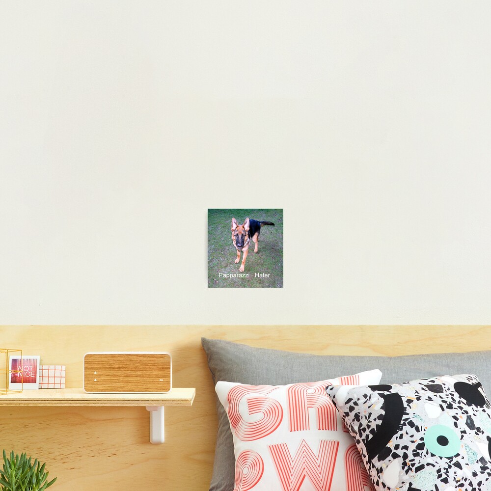 Papparazzi Hater Photographic Print