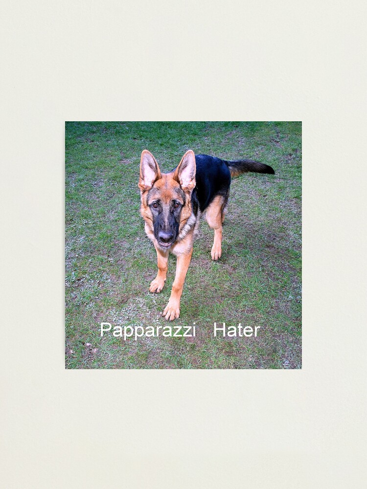 Alternate view of Papparazzi Hater Photographic Print