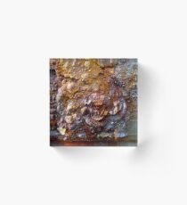 Devil in the Details Acrylic Block