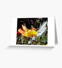Freshness: Greeting Card