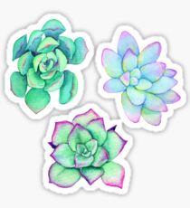 Bright Watercolor Succulent Plant Pattern Sticker