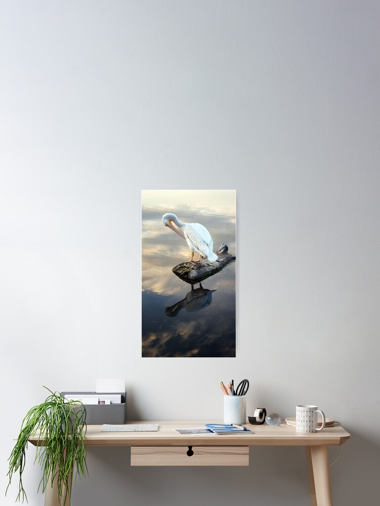 Alternate view of Duality Poster
