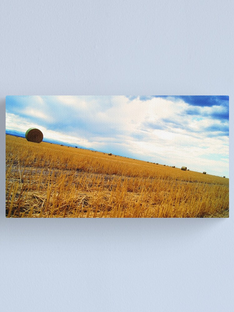 Alternate view of Rolling Downhill Canvas Print