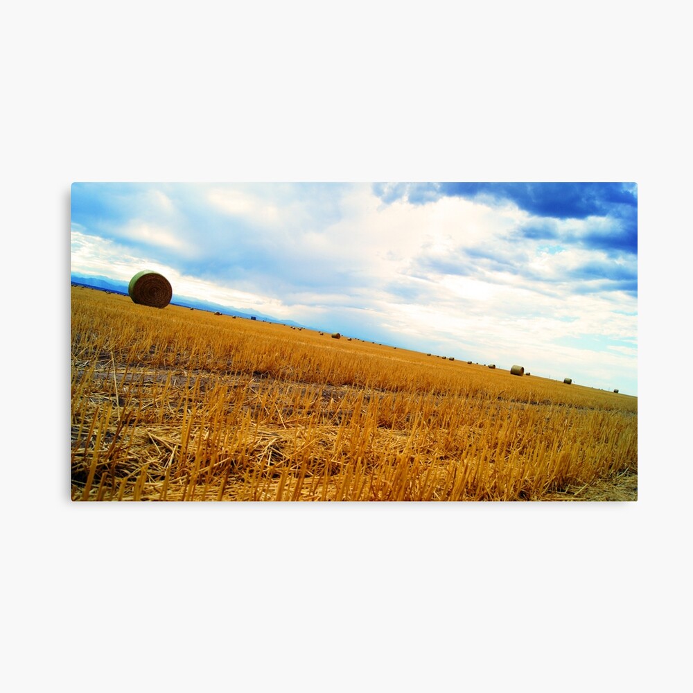 Rolling Downhill Canvas Print