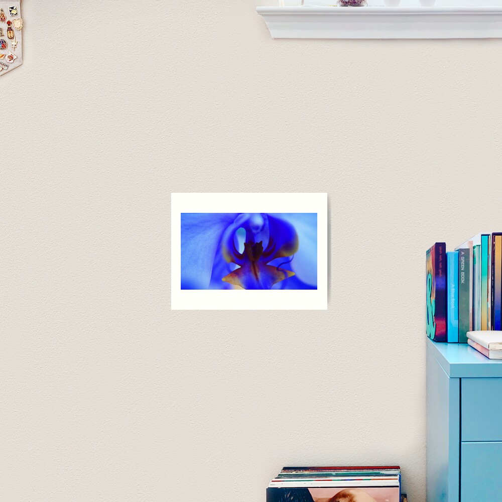 Blue Orchid Art Print
