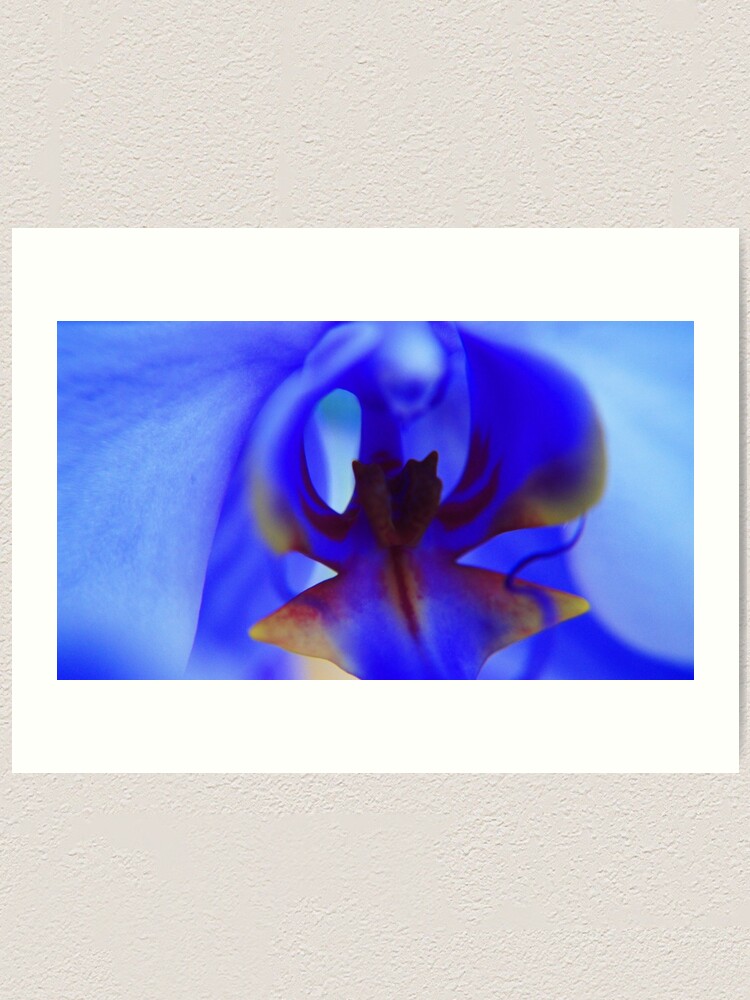 Alternate view of Blue Orchid Art Print