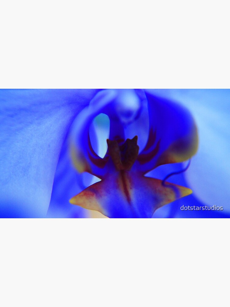 Blue Orchid by dotstarstudios