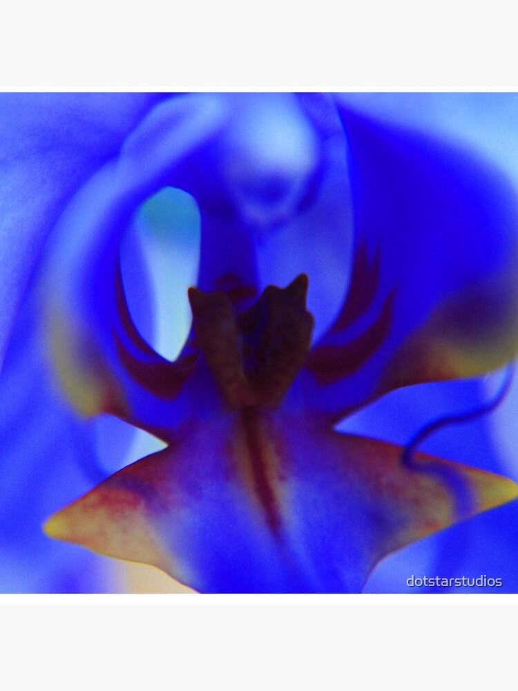 Blue Orchid by dotstarstudios