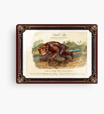 Skunk Ape. Canvas Print