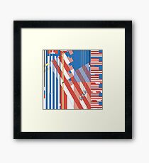 Frank Lloyd Wright USA Framed Print