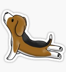 Pegatina Beagle Yoga Pose
