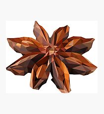 anise Photographic Print