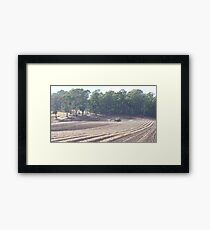 farmland and animals Framed Print