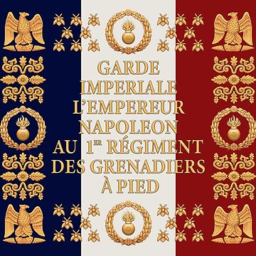Flag 1st Regiment of grenadiers of the embroidered French guard 1812  Napoleon 1st