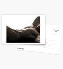 twistorso Postcards