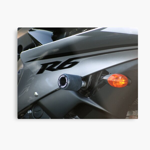 R6 Metal Print