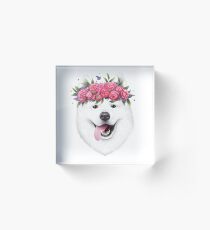 Samoyed with flowers Acrylic Block