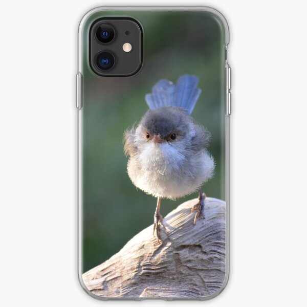 Blue Wren female, logging on! iPhone Soft Case