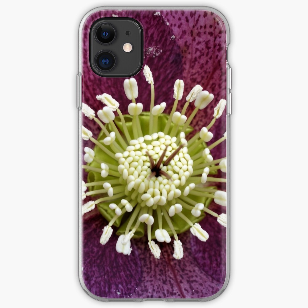 Helleborus iPhone Case & Cover