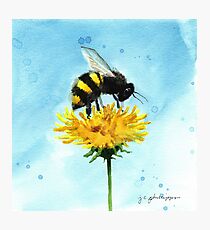 Smudgy Bee Gets Pollen Photographic Print