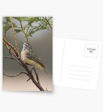 Small Wonder Postcards