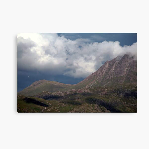 Rescue Canvas Print