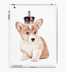 Pembroke Welsh Corgi iPad-Hülle & Klebefolie