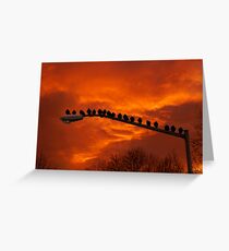 Enjoying The Sunset Greeting Card