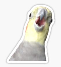 Honk Face Sticker Sticker