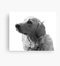 Cute Doggy Metal Print