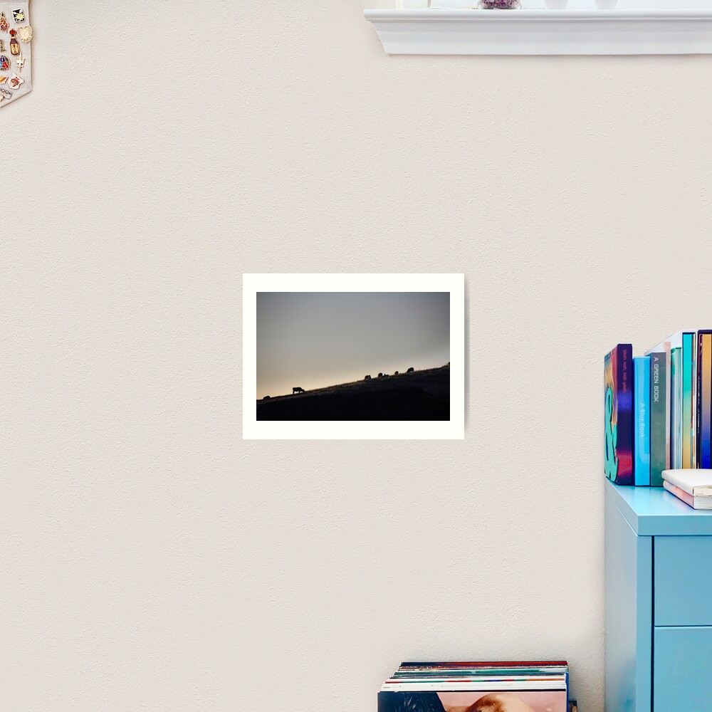 Cows and sheep grazing eating grass on hill side silhouette at sunset, Ecuador Art Print
